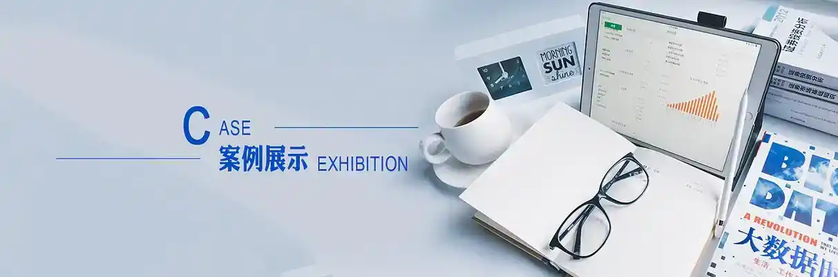 临高县软件开发